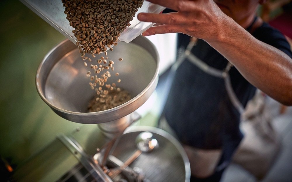 A coffee professional pours green beans into a roaster.