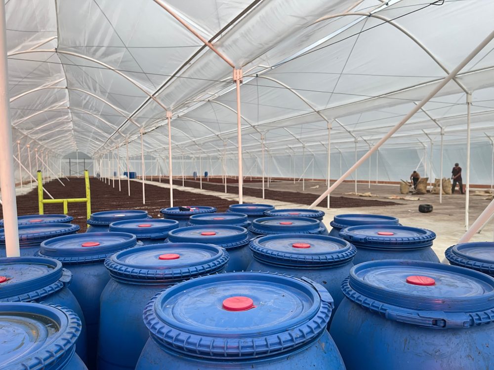 Fermentation tanks in a covered area on a coffee farm.