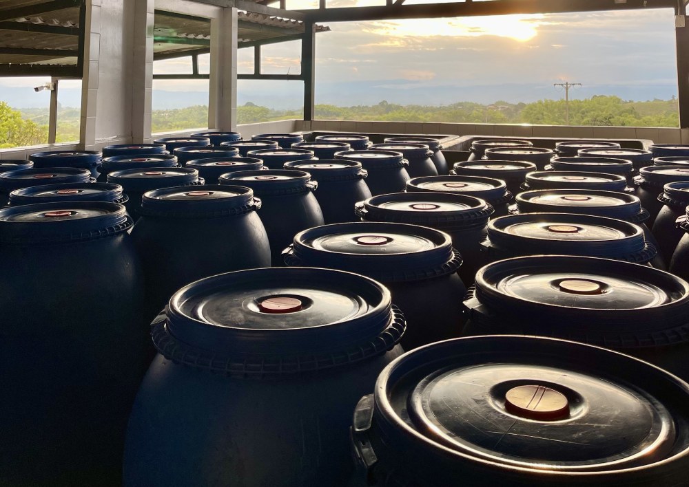 Fermentation tanks on a coffee farm.