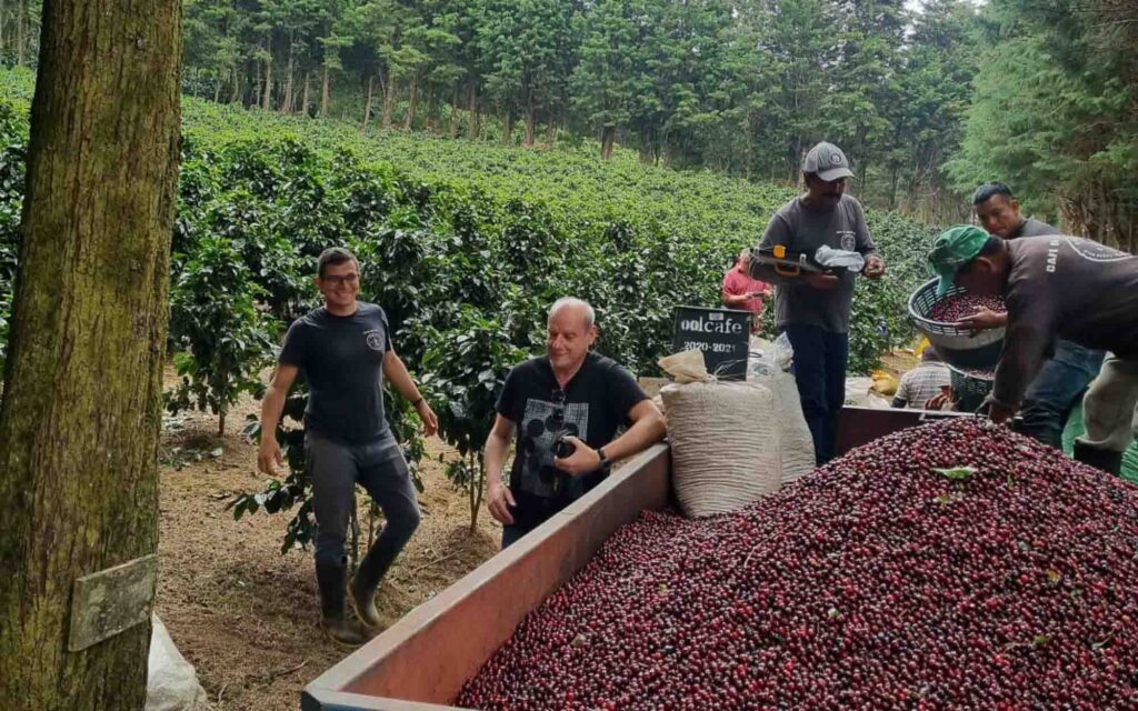 Compradores visitando uma lavoura ao lado dos produtores -- relacionamento para o desenvolvimento de perfil de sabor