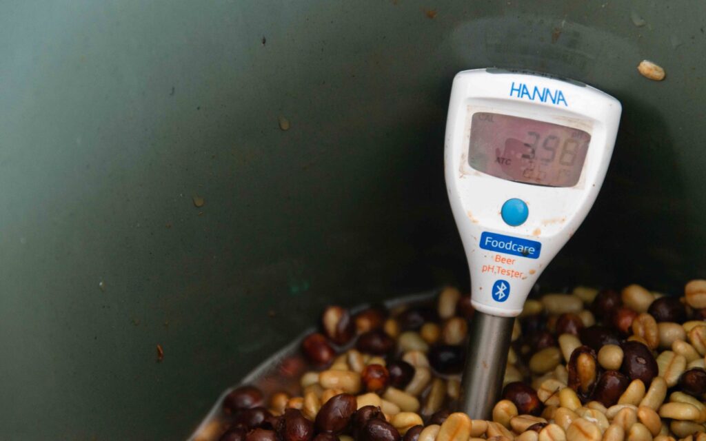 Medidor de temperatura em lote de café de fermentação lática