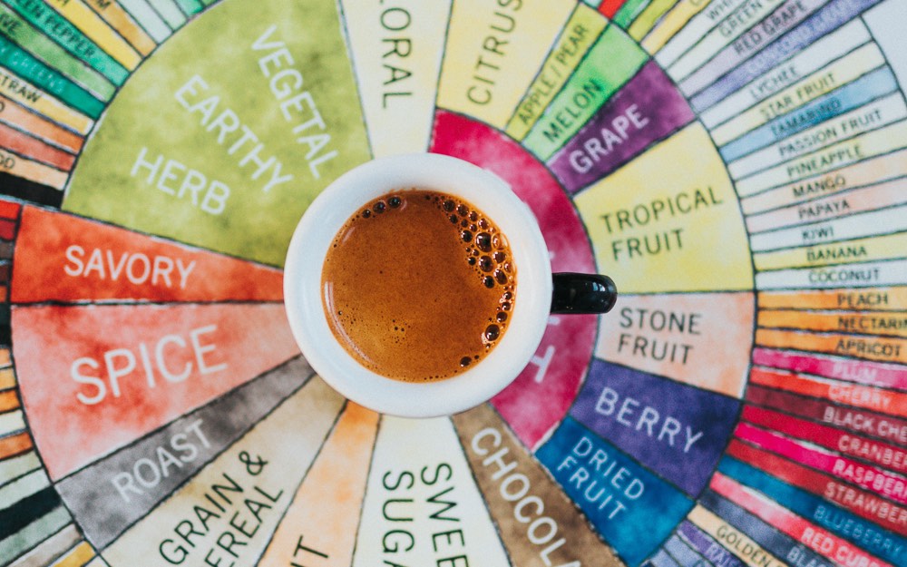 A single espresso on top of the Coffee Flavor Wheel.