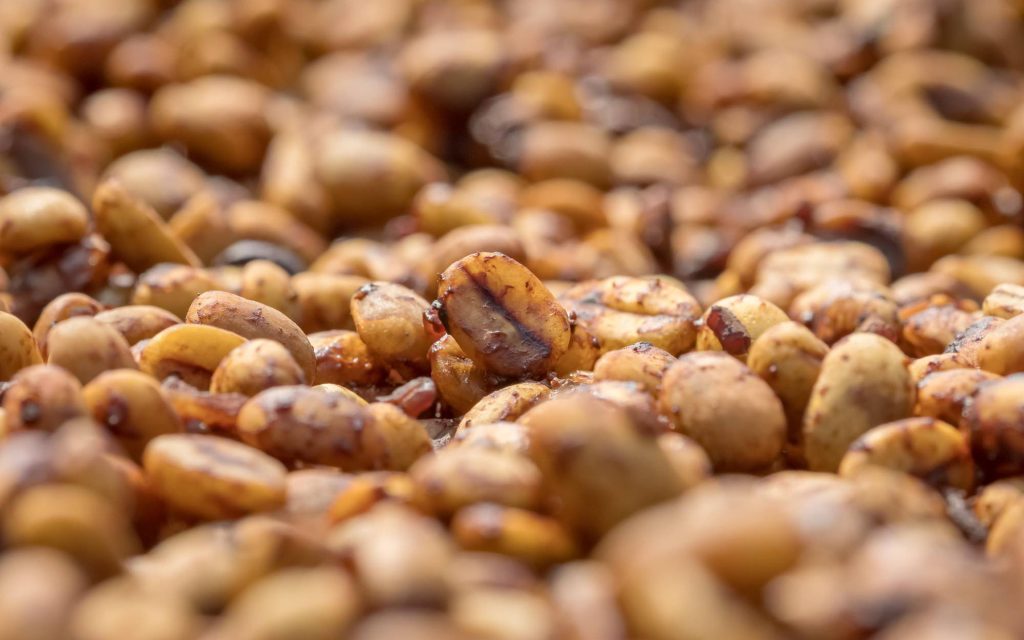 Processing beans on a farm in South America.