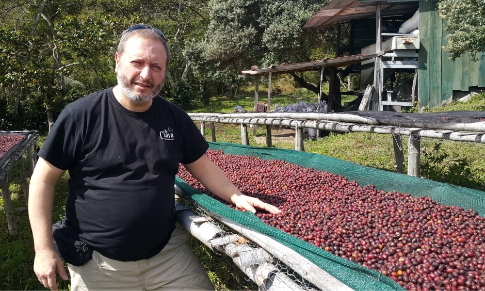 Comercializador de café en el origen